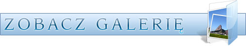 zobacz galerię